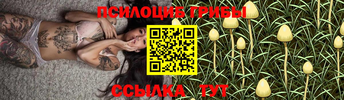 Галлюциногенные грибы мухоморы  Вход с VPN  Коркино  Галлюциногенные грибы мухоморы 
