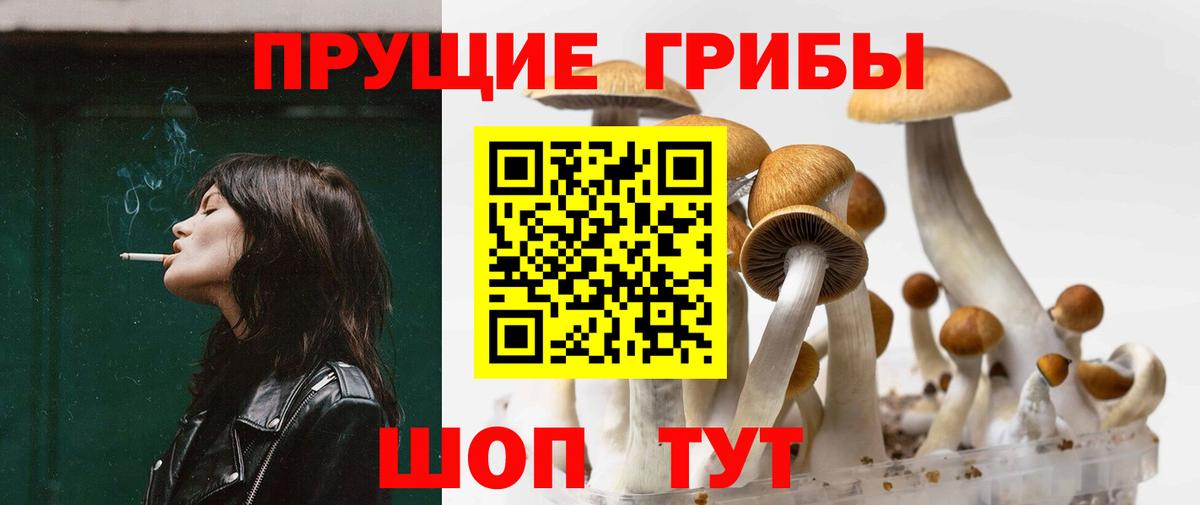 Галлюциногенные грибы Psilocybine cubensis Коркино